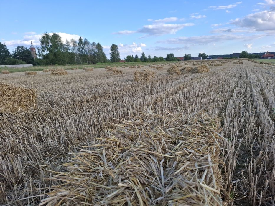 Słoma w kostkach