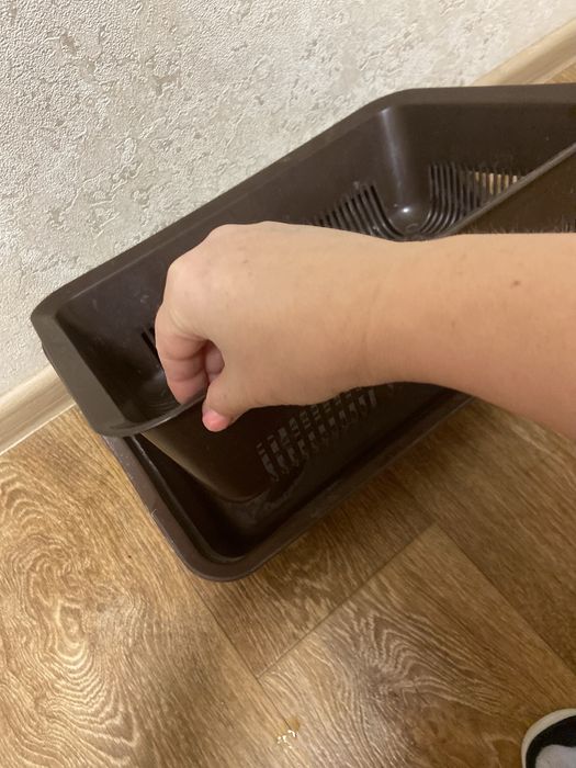 Продам лоток для котика, собачки.