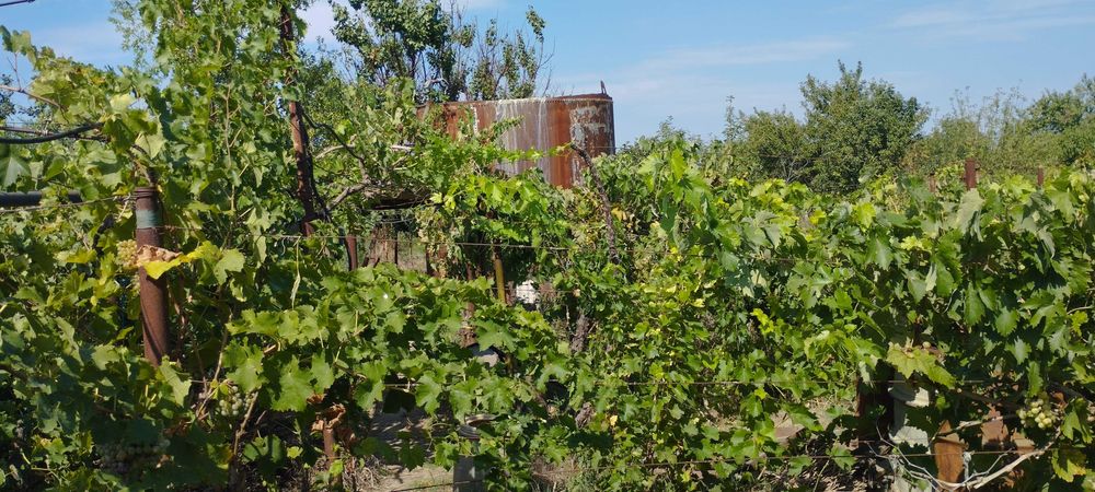 Садиба в місті Кілія Одеської області