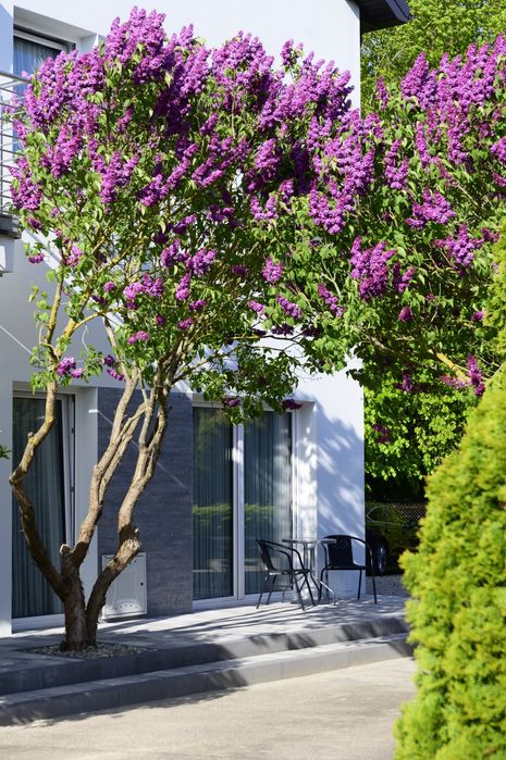 Kwatery wakacyjne GRZYBOWO, BORKOWSKA 12  zapraszamy od 01.06.2026