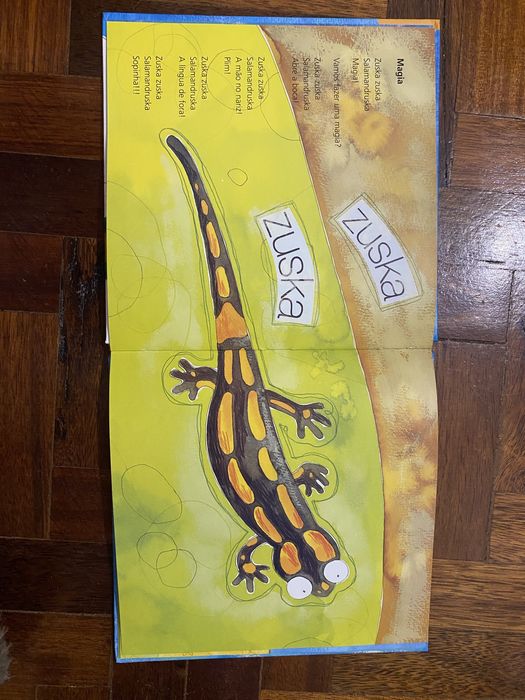 Livro + CD + Guia para pais e educadores "Andakibebé"