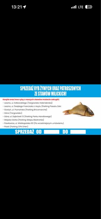 Karp Milicki - Punkt sprzedaży żywych i patroszonych