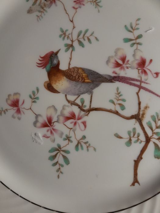 Prato lindo 26.5 cm Vista Alegre