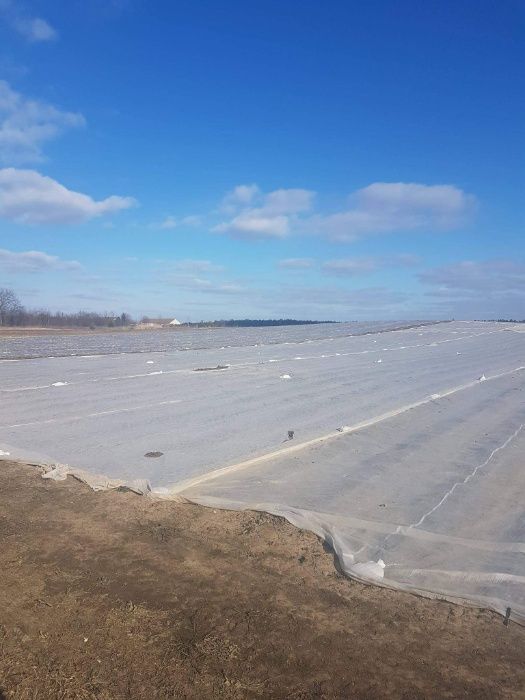 Agrowłóknina na przymrozki  P23 12,65x100m 650 zł !!! PROMOCJA