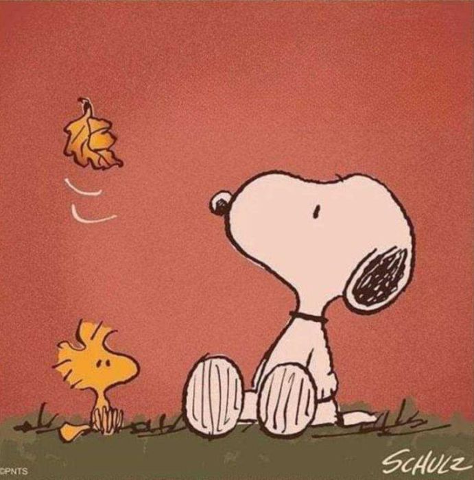 Peluche Grande - Snoopy - BLACK DAYS