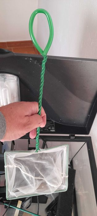 Aquario 50 lt com acessorios  em bom estado