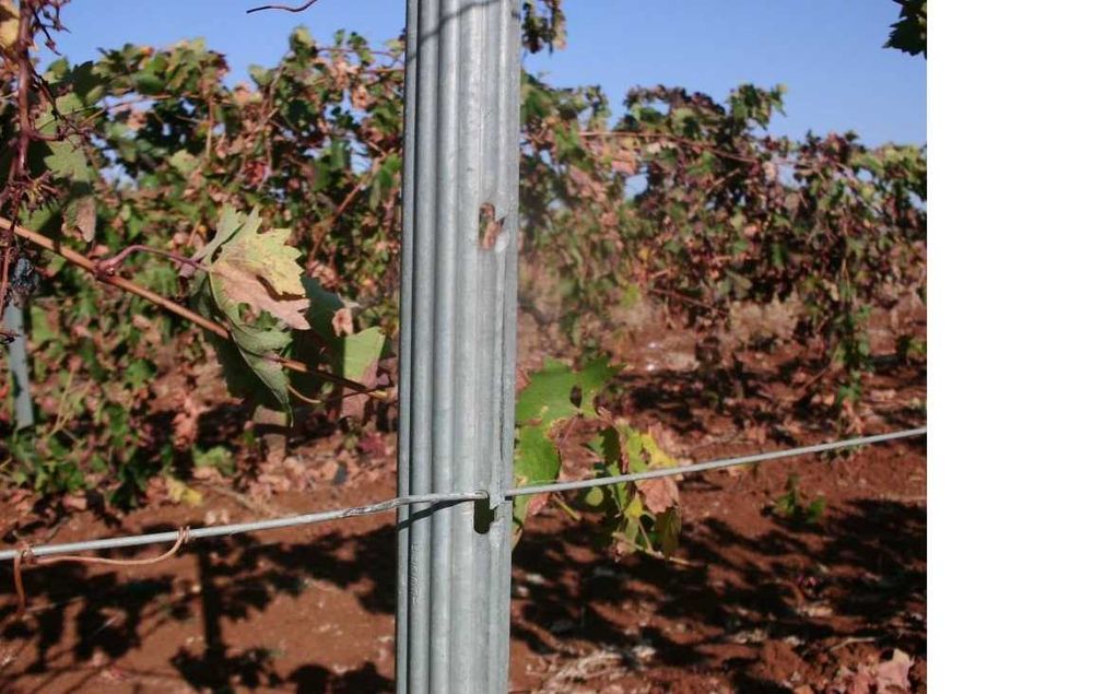 Últimos POSTES METÁLICOS Galvanizados Agricultura - APROVEITE!!!