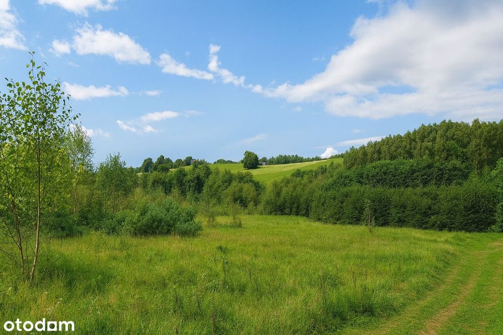 Działki nad jeziorem w malowniczym Garczu na Kaszubach