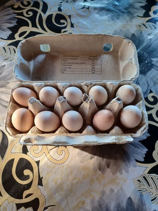 Sprzedam koguty silki I jaja lęgowe