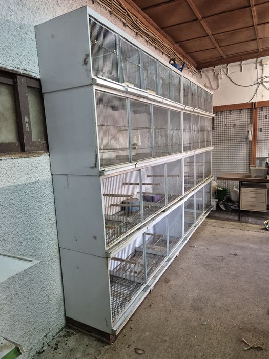 Viveiros para passaros