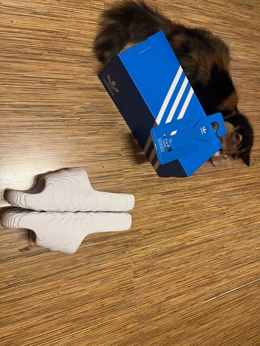 Тапочки чоловічі Adidas Adilette 22 Slides White Hq4672