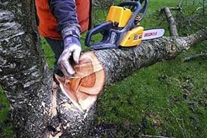 Спил деревьев.Резка.Рубка.Уборка участка.