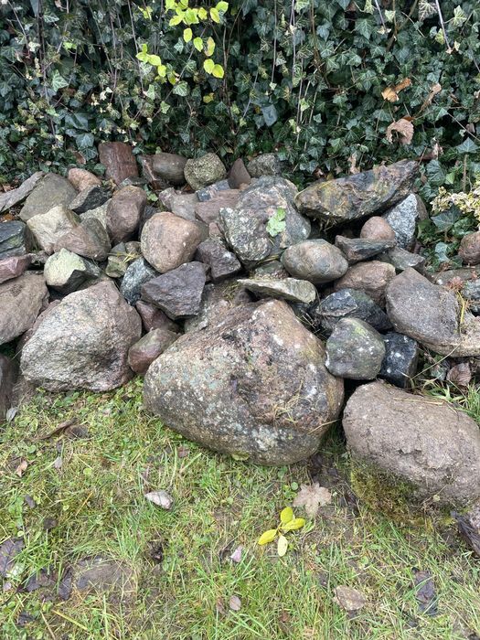 Kamienie polne za darmo