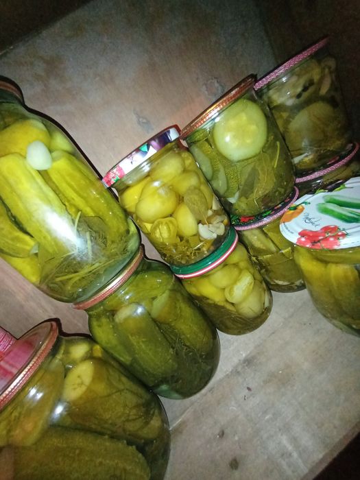 Консервация домашняя