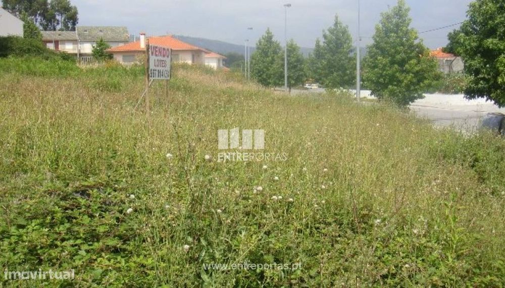Lote - Fragoso — Fragoso, Braga