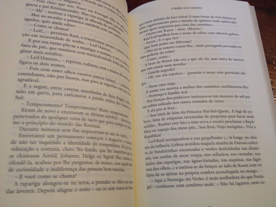 José Gomes Ferreira - Tempo escandinavo