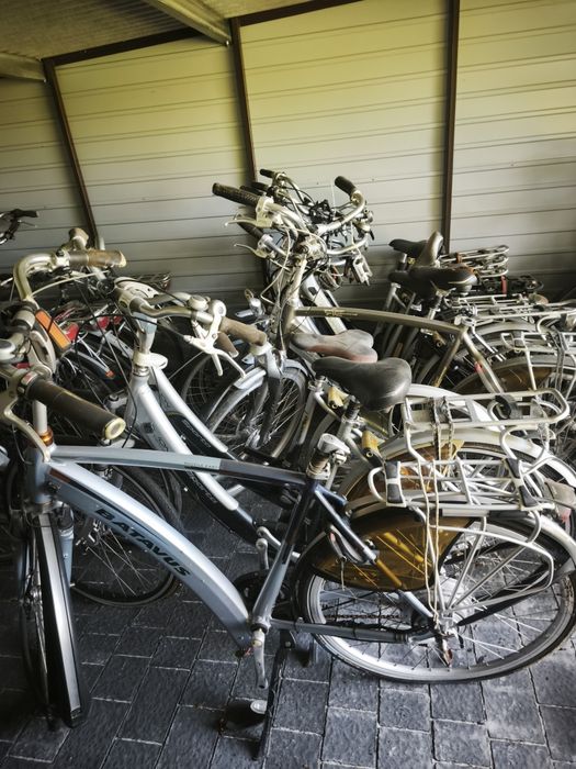 Pakiet rowerów ION Sparta Batavus 50 szt