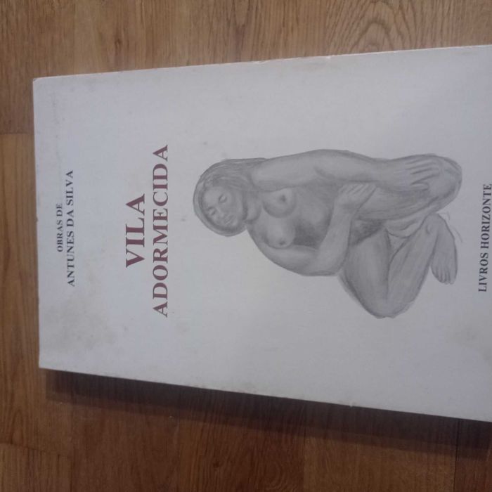 vendo livro vila adormecida