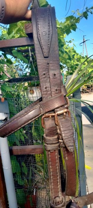 Uzda z prawdziwej skóry, zaprzęg, bryczka