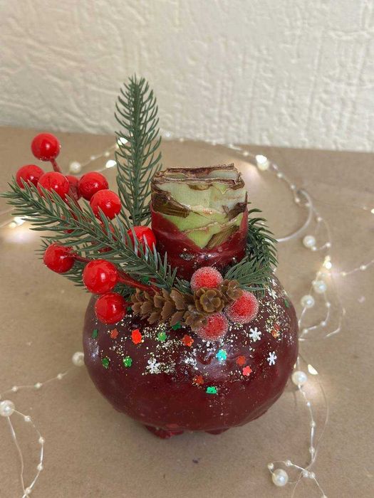 Амариліс "Подарунковий"