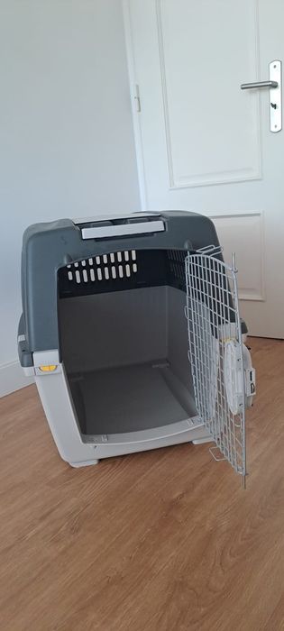 Acessórios para cães