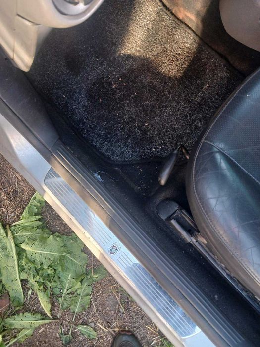 продаеться focus 2.3 газбензОбмен авто з неробочою акпп либо пирожок