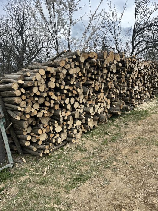 Продам дрова для опалення