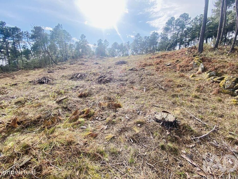 Terreno para construção em Mouçós e Lamares de 3484,00 m2