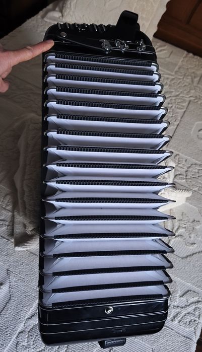 Honher Morino à 4voz, como novo