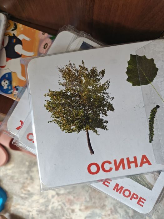 Набір карток Домана «Велика Валіза»