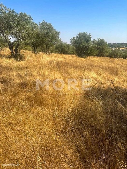 Terreno  Venda em Alcáçovas,Viana do Alentejo