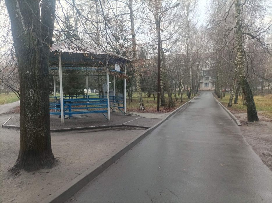 Величезна  3х-кім квартира на Зелених.Можна під Програми!