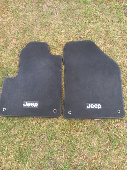 Коврики тільки 2 передні