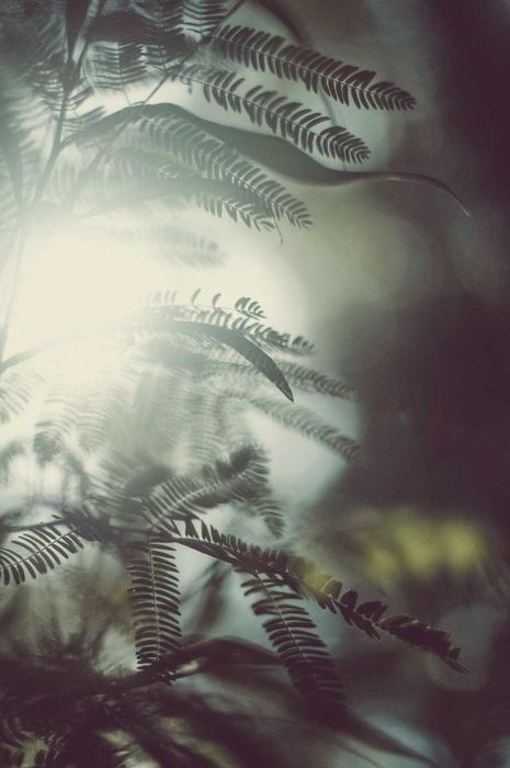 Pentax FA. 50 mm F1.4 - fantástico vidro vintage