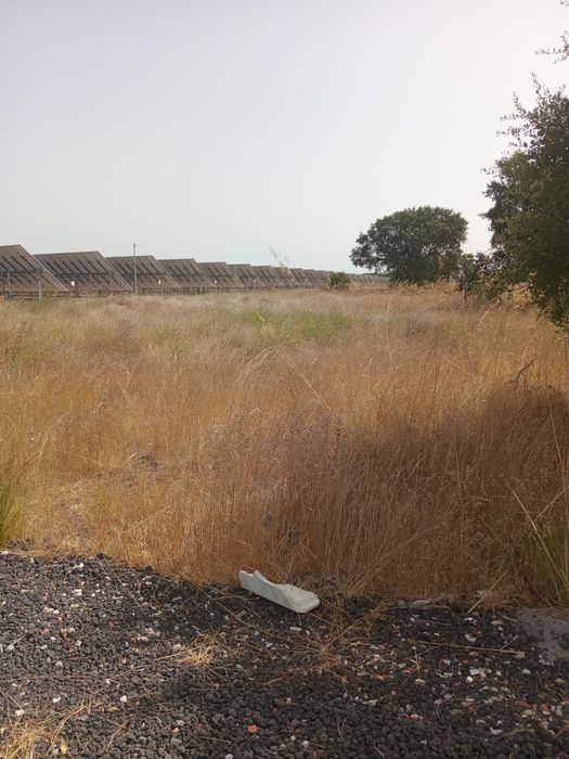 Lotes em augi, 7mil euros de entrada