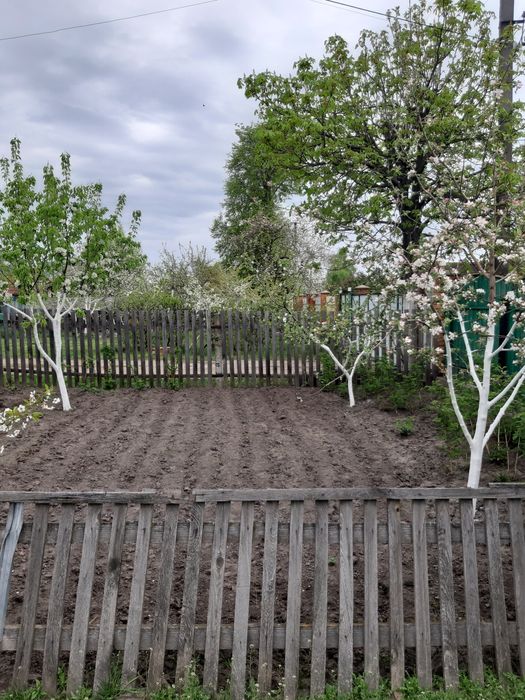 Продамо будинок.