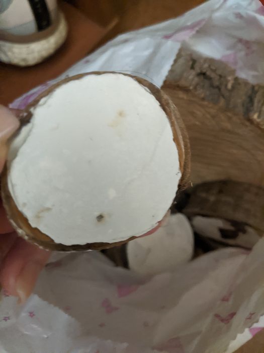 Продам деревянные  спилы акации.