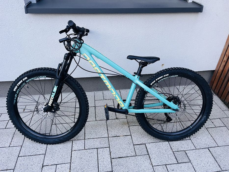 Dartmoor Hornet Junior MTB 24