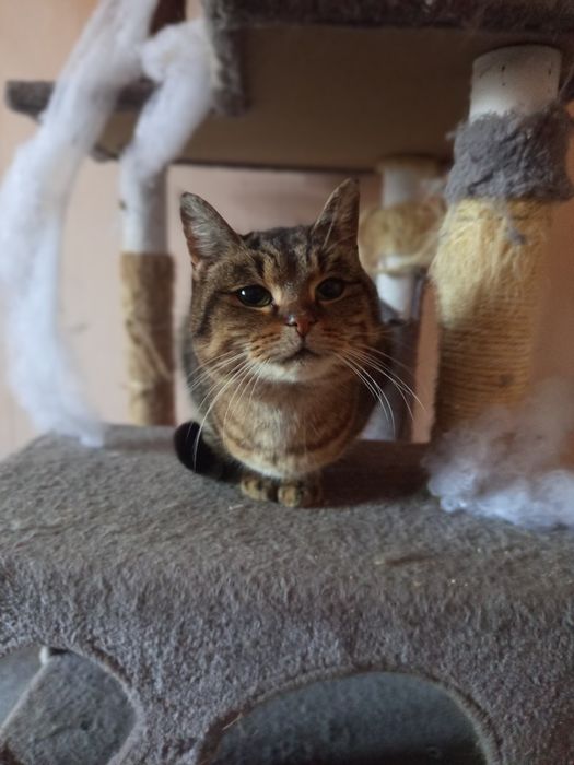 Nerkowa Marcysia szuka domku