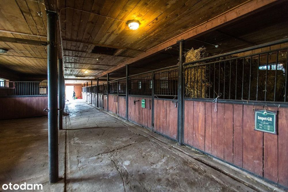 Posiadłość w Bieszczadch / 6 ha/ Dom, stajnia, stawy/ 4 305 000