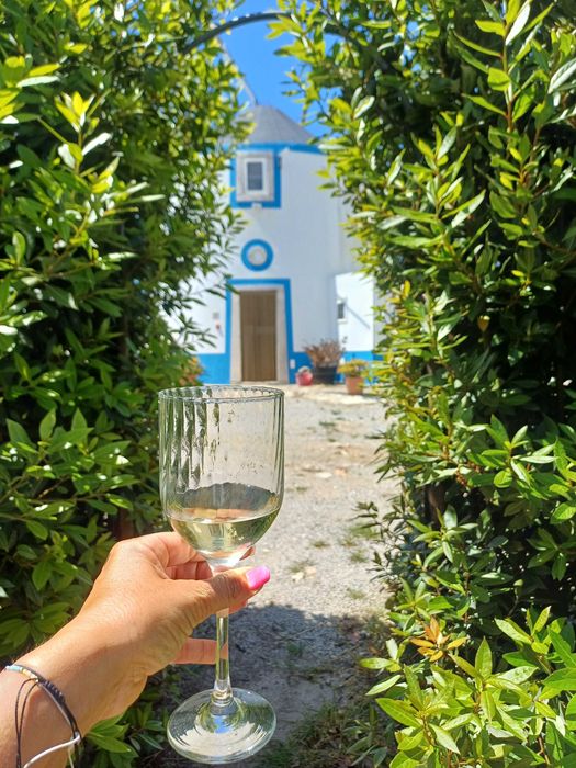 Arrenda-se Moinho de Vento Centenário. Luz, Água e Internet incluído