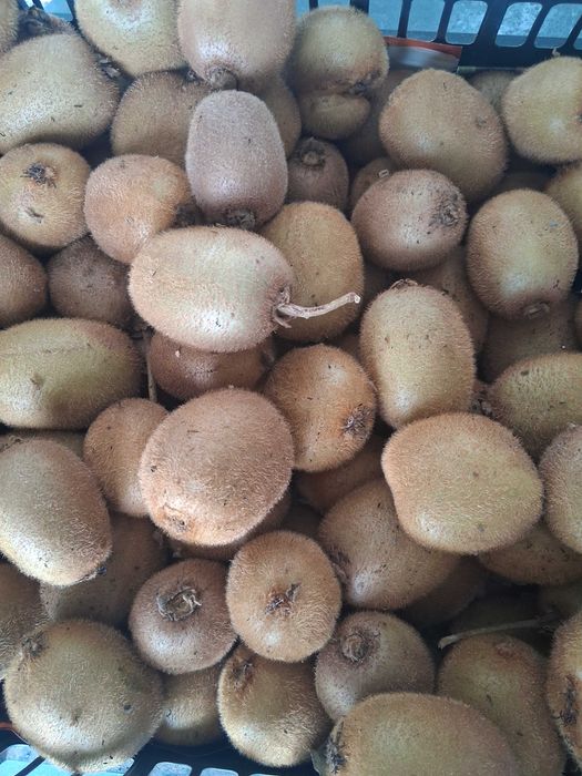 Kiwis fruto disponivel