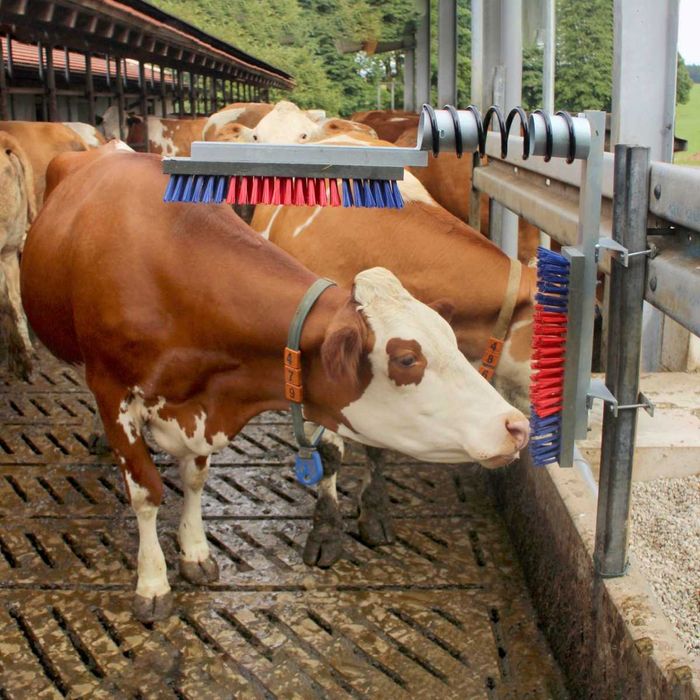 Czochradło dla bydła, nylonowe włosie, Kerbl