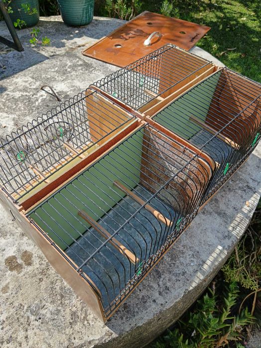 Transportadora pássaro