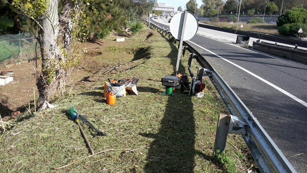 Profissionais de jardinagem