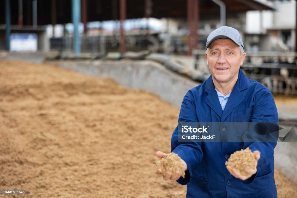Młóto browarniane - mlekopędna pasza pewne dostawy