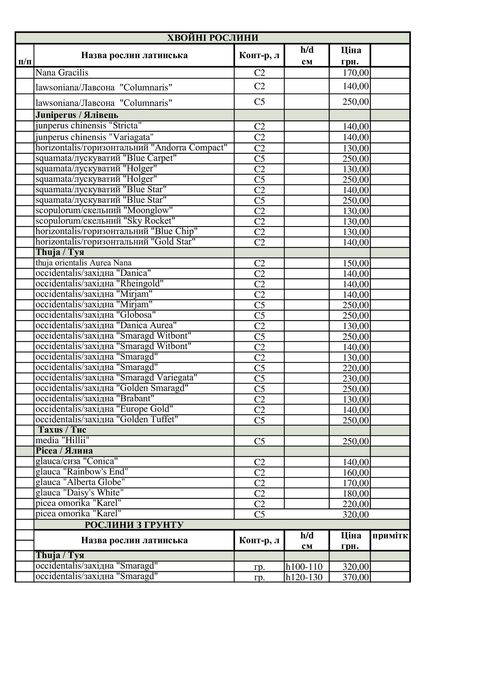 Декоративні хвойні рослини в горшках (ЗКС) ЯЛІВЦІ, ТУЇ, ЯЛИНКИ
