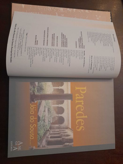 Livro "Paredes- Jóia do Sousa "