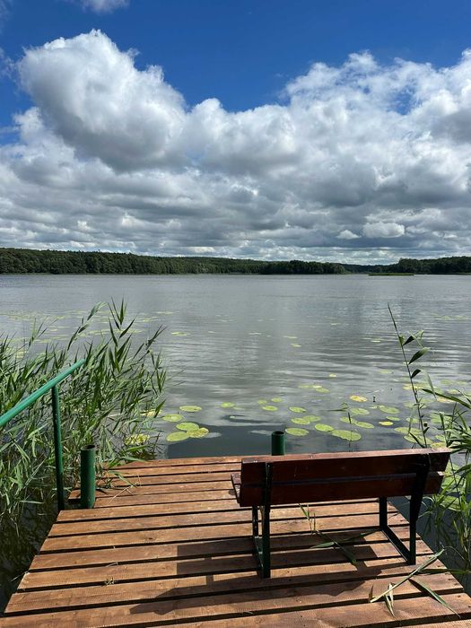 Willa na wieczór panieński nad jeziorem - BRZEZINA RESORT