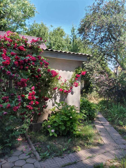 Продам участок - дом Дача на Марии Демченко